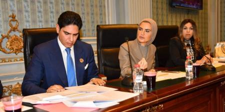 برئاسة «أبو هشيمة».. «اقتصادية الشيوخ» تناقش قانون الضريبة العقارية بحضور ممثلي الحكومة - تواصل نيوز