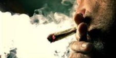 تعاطوا مخدرات أثناء العمل.. قرار عاجل من محافظ أسوان ضد 9 موظفين - تواصل نيوز