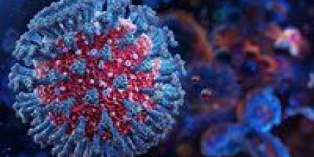 عاجل | الصحة تكشف حقيقة انتشار فيروس ماربوج فى مصر - تواصل نيوز