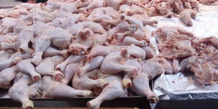 ضبط أجزاء دواجن "محقونة بالمياه" ومجهولة المصدر قبل بيعها بشبرا الخيمة - تواصل نيوز