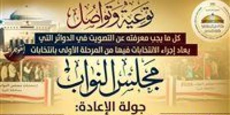 مواعيد وضوابط التصويت في الدوائر التي تُعاد فيها انتخابات المرحلة الأولى لمجلس النواب.. تفاصيل - تواصل نيوز