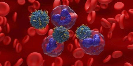 مركّب نباتي واعد يفتح آفاقاً جديدة لعلاج أحد أخطر أنواع سرطان الدم - تواصل نيوز