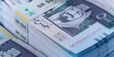 سعر الريال السعودي مقابل الجنيه المصري اليوم الجمعة 28-11-2025 - تواصل نيوز