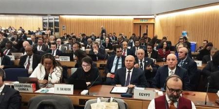 للمرة السادسة على التوالي.. مصر تفوز بعضوية مجلس المنظمة البحرية الدولية الفئة «C» - تواصل نيوز