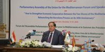 أبو العينين: القضية الفلسطينية جوهر الصراع في الشرق الأوسط والحروب لا تحل أي أزمة - تواصل نيوز