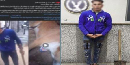 «فيسبوك فضحه».. كشف ملابسات ضرب كلب باستخدام «كوريك» في سوهاج - تواصل نيوز