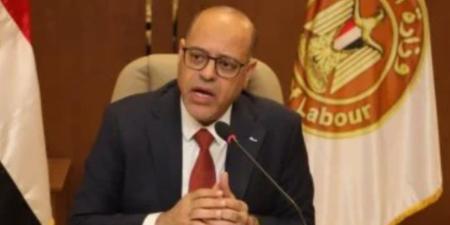 وزارة العمل: مهلة لـ949 منشأة لتوفيق أوضاع عقود العمل.. وتحرير 514 محضر حد أدنى للأجور.. و611 محضرًا لمخالفات عمل الأجانب - تواصل نيوز