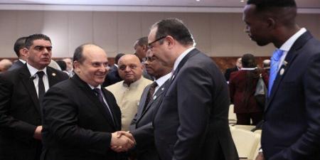 وزير قطاع الأعمال العام: العلاقات المصرية الجزائرية تاريخيّة وراسخة - تواصل نيوز