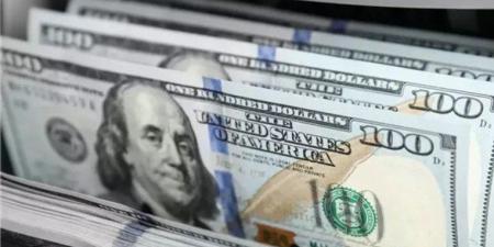 استقرار سعر الدولار مقابل الجنيه المصري مع بداية تعاملات اليوم السبت - تواصل نيوز