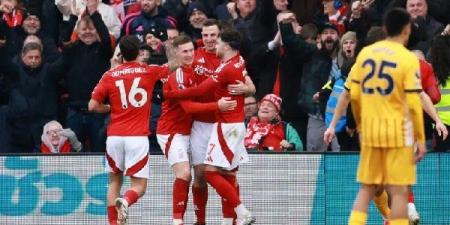 بث مباشر.. شاهد مباراة نوتنجهام وبرايتون في الدوري الإنجليزي - تواصل نيوز