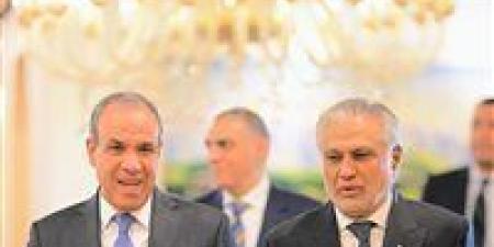 وزير الخارجية يناقش مع رئيس وزراء باكستان التطورات الإقليمية في الشرق الأوسط - تواصل نيوز