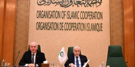 منظمة التعاون الإسلامي: المجتمع الدولي مسؤول عن دعم الحقوق المشروعة للشعب الفلسطيني - تواصل نيوز