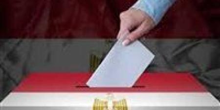 المصريون في أثينا يدلون بأصواتهن في جولة الإعادة لانتخابات المصريين بالخارج - تواصل نيوز