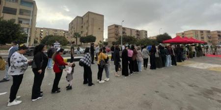 حيثيات الحكم بإلغاء دائرة مغاغة بالمنيا : غياب 144 محضر فرز وخلل بالعملية الانتخابية - تواصل نيوز