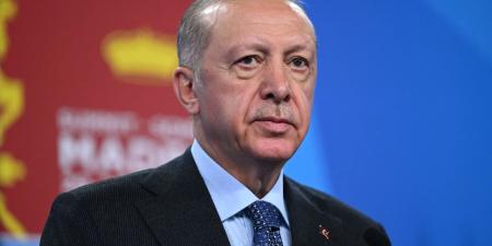 الصومال وتركيا تبحثان تدعيم جهود الحفاظ على استقلال ووحدة الأراضي الصومالية - تواصل نيوز