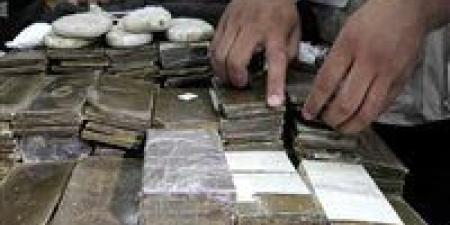 حملات وزارة الداخلية تضبط مئات قضايا المخدرات وتنفذ أكثر من 62 ألف حكم خلال 24 ساعة - تواصل نيوز