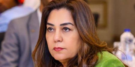 وزيرة التنمية المحلية : مرور ميداني للجنة الحوكمة والمحال العامة بالوزارة على المركز التكنولوجي بحي الدقي بالجيزة وأحياء عابدين وشرق مدينة نصر بالقاهرة - تواصل نيوز