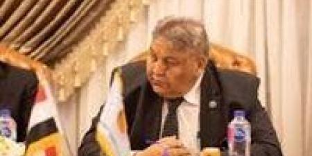 وكيل الإدارة المحلية لـ"تحيا مصر": تنظيم معارض السيارات ضرورة لإنهاء التكدس المروري - تواصل نيوز