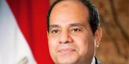 الرئيس السيسي: ضرورة مواجهة مشكلة ضعف الكوادر بوجه عام - تواصل نيوز