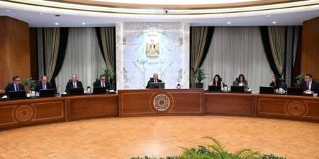 «الوزراء» يوافق على تعديل أحكام قرار إنشاء هيئة الرقابة على الصادرات والواردات - تواصل نيوز