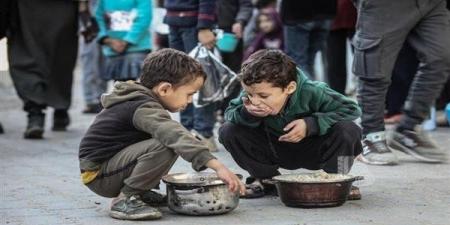 كارثة إنسانية وديموغرافية ونزيف اقتصادي.. 2025 عام الانهيار الفلسطيني - تواصل نيوز