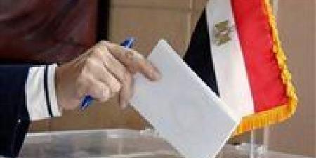 السفارة المصرية في إيران تفتح لجان التصويت للمصريين بالخارج - تواصل نيوز