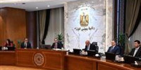 الحكومة توافق على مد العمل بالتأشيرة الترانزيت مجاناً لمدة عام - تواصل نيوز