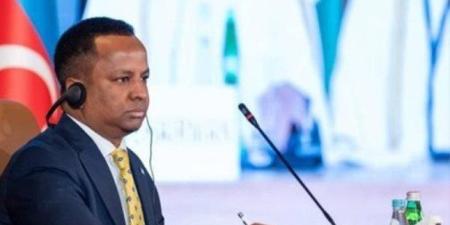 وزيرا خارجيتي السعودية والصومال يؤكدان هاتفيا على سيادة جمهورية الصومال ووحدة وسلامة أراضيها - تواصل نيوز