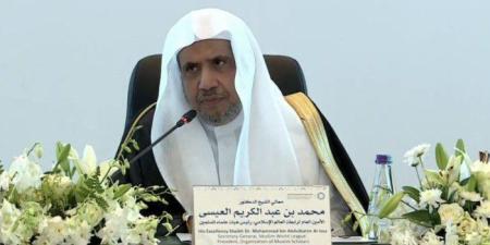 رابطة العالم الإسلامي تدين منع الاحتلال للمنظمات الإنسانية من العمل في قطاع غزّة - تواصل نيوز