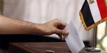 جولة الإعادة للدوائر الملغاة.. غلق باب التصويت في اليوم الأول لجان بسفارات وقنصليات مصر بدول نيوزيلندا وأستراليا وكوريا واليابان - تواصل نيوز