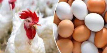 «اكتفاء ذاتي كامل من البيض والدواجن».. وزارة الزراعة تكشف حصاد إنجازات 2025. - تواصل نيوز