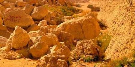 مصر تُعزز حماية التنوع البيولوجي بخطط إستراتيجية وبرامج رصد وحماية شاملة - تواصل نيوز