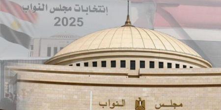 الجالية المصرية في الكويت تختتم اليوم التصويت في جولة الإعادة بالدوائر الملغاة لانتخابات النواب 2025 - تواصل نيوز