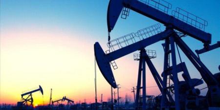 نجاح حفر بئرين جديدتين لإنتاج البترول والغاز بحقول عجيبة بالصحراء الغربية - تواصل نيوز