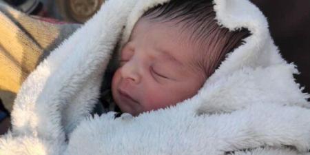 محافظ أسوان يهنئ أسرة الطفلة بيان أول مولودة فى مصر مع بداية 2026 - تواصل نيوز