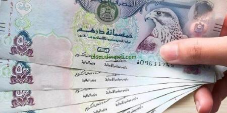 سعر الدرهم الإماراتي مقابل الجنيه المصري اليوم الجمعة 2 يناير 2026 - تواصل نيوز