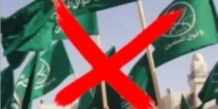 إسلام الكتاتني: جماعة الإخوان سقطت شعبيا وتواصل معركتها إلكترونيا - تواصل نيوز