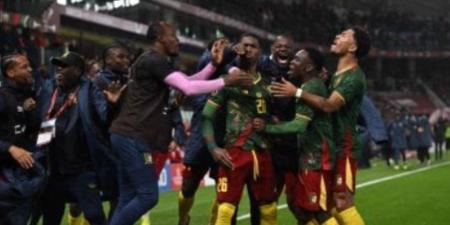 الكاميرون تهزم جنوب أفريقيا وتواجه المغرب فى ربع نهائى أمم أفريقيا.. فيديو - تواصل نيوز