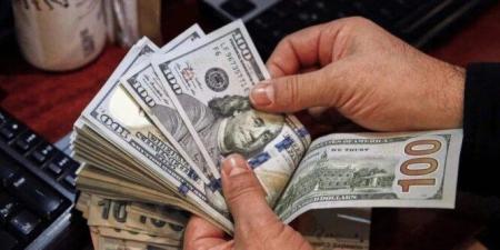 سعر الدولار مقابل الجنيه المصري اليوم الإثنين 5 يناير 2026.. في 12 بنكاً - تواصل نيوز