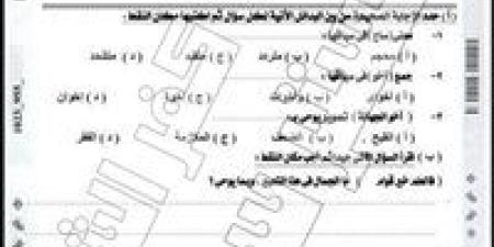 جروبات الغش تدعي تداول امتحان اللغة العربية للصف الثالث الإعدادي بكفر الشيخ - تواصل نيوز
