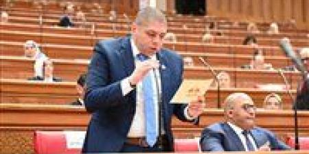 أحمد جبيلي: مصر تحقق طفرة غير مسبوقة بقطاع الصحة وارتفاع الموازنة إلى أكثر من 400 مليار جنيه يعكس تحولا استراتيجيا - تواصل نيوز