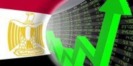 خبير اقتصادي: مصر وجهة آمنة للاستثمارات رغم التحديات الجيوسياسية - تواصل نيوز