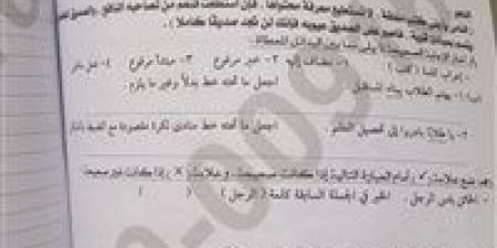 تداول امتحان اللغة العربية للشهادة الإعدادية بمحافظة الإسكندرية.. والتعليم تحقق - تواصل نيوز