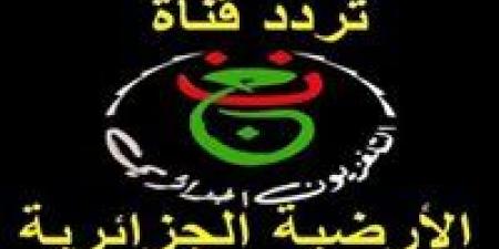 القناة الجزائرية الأرضية تنقل مباراة مصر ونيجيريا اليوم في كأس أمم أفريقيا مجانا - تواصل نيوز