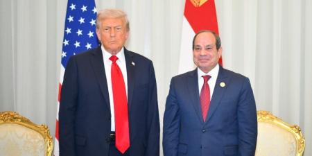 نائب: رسالة ترامب للرئيس السيسى تأكيد على أن مصر رقم رئيسى فى معادلات المنطقة - تواصل نيوز