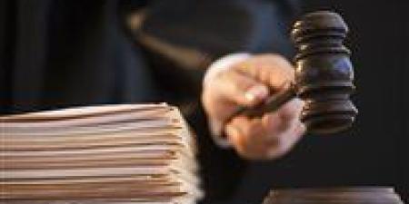 تأجيل محاكمة 61 متهمًا بـ"اللجان النوعية بالتجمع الخامس" - تواصل نيوز