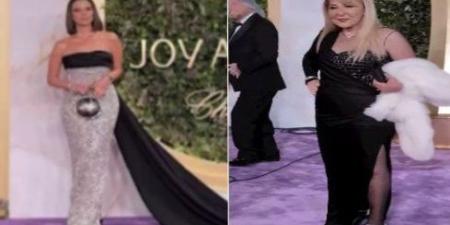 أبرزهن نادية الجندي وإيمان العاصي.. نجمات الفن المصري يتألقن في حفل Joy Awards 2026 - تواصل نيوز