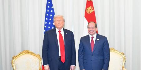 النائب عماد الغراب: خطاب ترامب للرئيس السيسى يعكس ثقل مصر الدولى - تواصل نيوز
