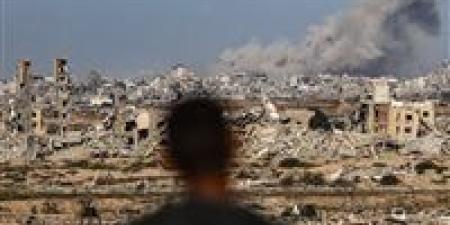 برئاسة ترامب.. من هم أعضاء مجلس السلام في غزة؟ - تواصل نيوز