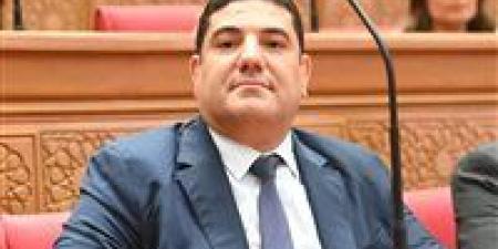 أحمد عبد المجيد: توجيهات الرئيس السيسي لتعزيز الاستفادة من تجربة اليابان التعليمية فرصة للنهوض بالتعليم في مصر - تواصل نيوز